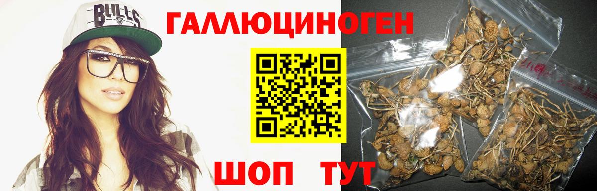 Галлюциногенные грибы GOLDEN TEACHER  Вход с VPN  Галлюциногенные грибы Psilocybe  Воскресенск 