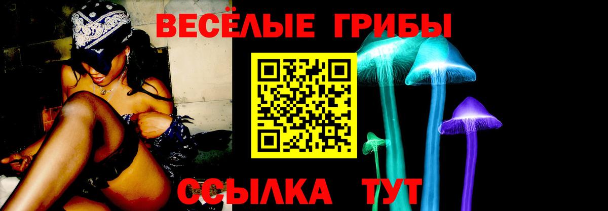 Галлюциногенные грибы GOLDEN TEACHER Воскресенск